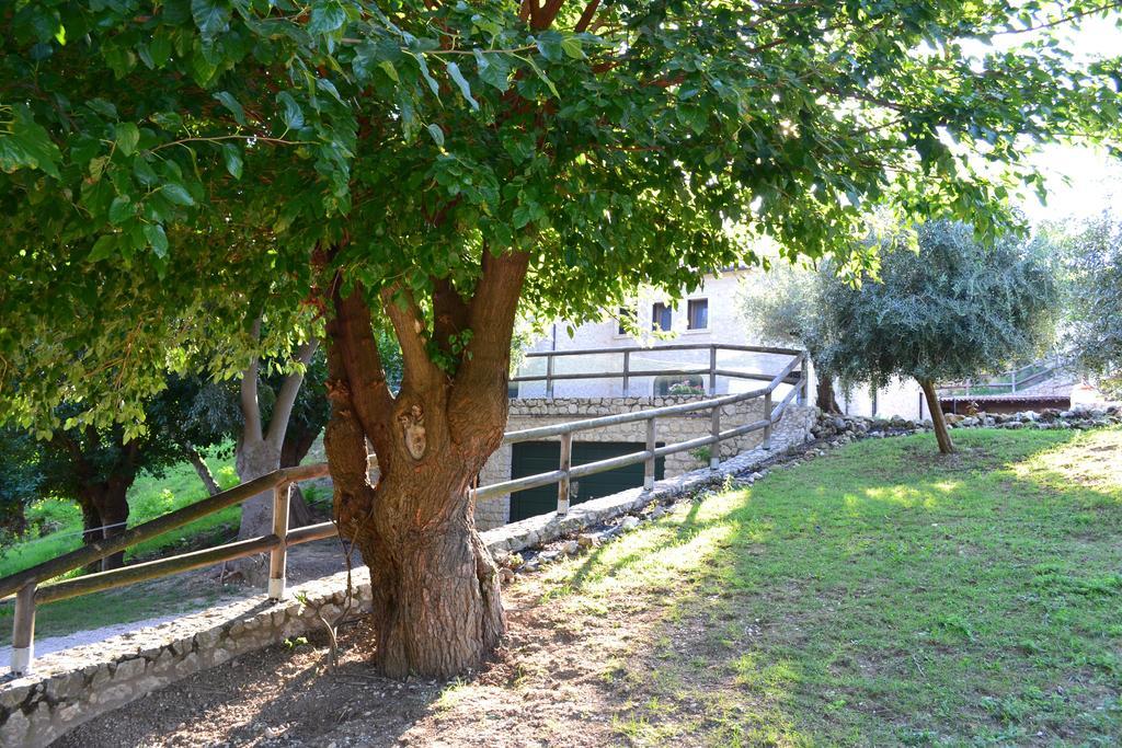 Casale La Rocchetta Bed & Breakfast Lonigo Exterior foto